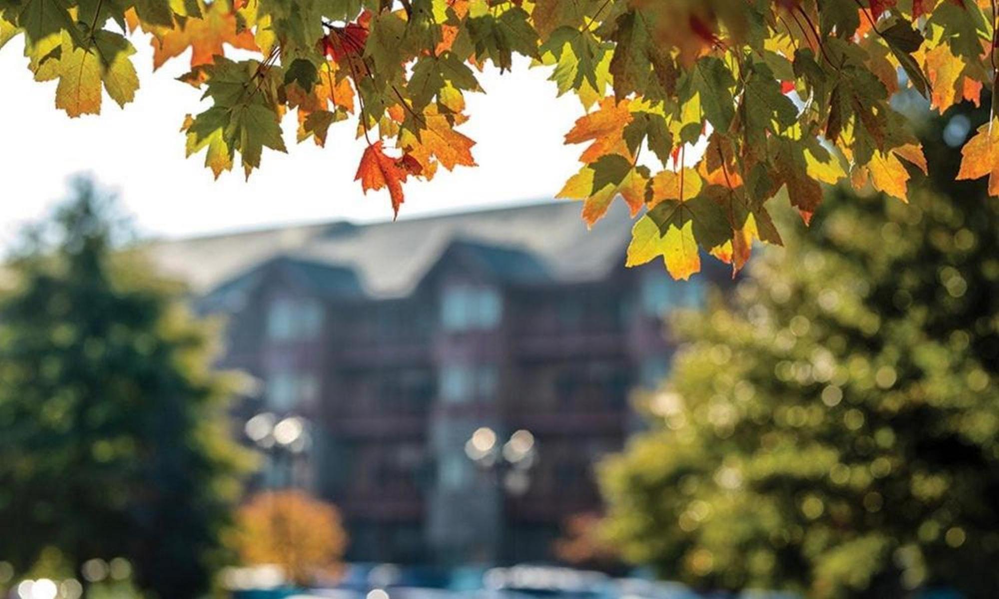 Great Smokies Lodge Sevierville By Hellovacay Eksteriør bilde